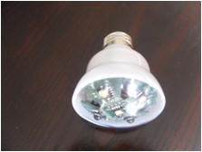 AC 110V LED bulb