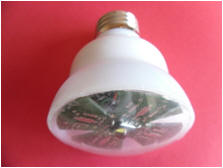AC 110V LED Bulb
